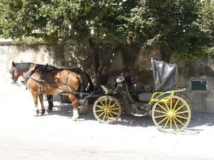 Horse and carriage near Palácio Nacional de Sintra