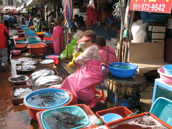 Masan Fish Market