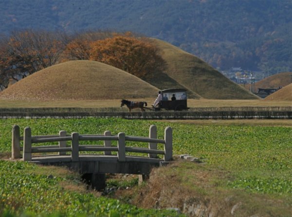 Burial Mounds, Gyeongju