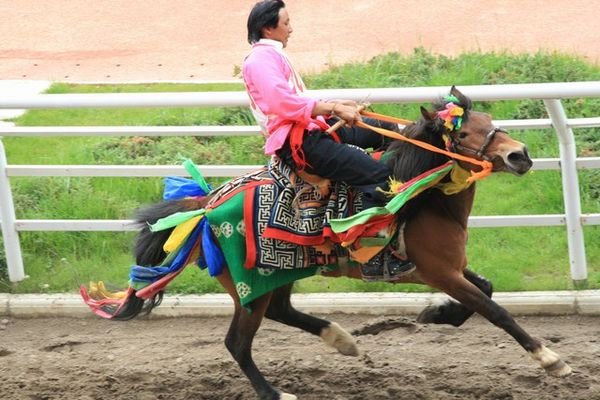  Horse Racing, Zhongdian