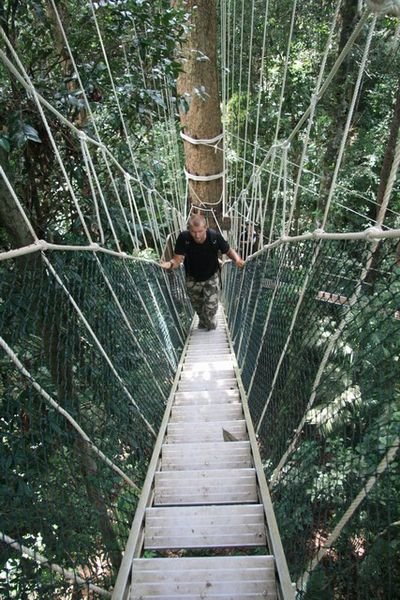 Jungle Canopy, Taman Negara