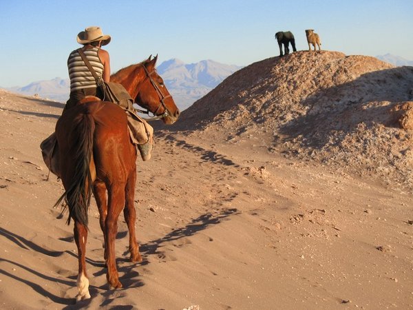   Riding in the Atacama, Chile