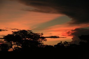 Pantanal Sunset