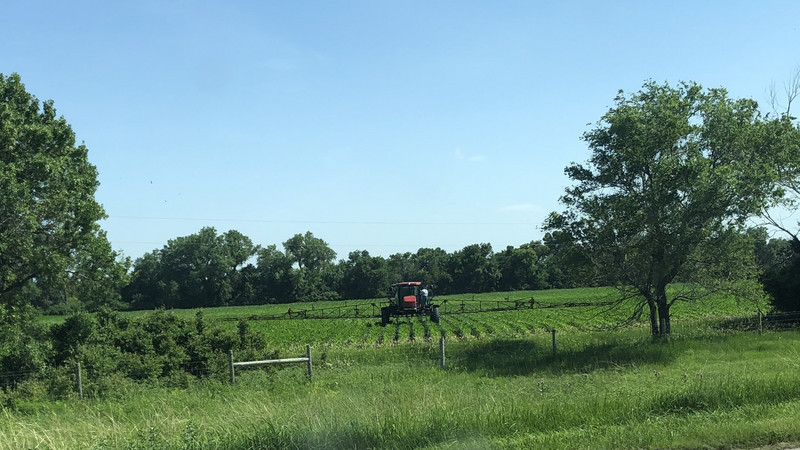 We passed a lot of farmers working in the fields!