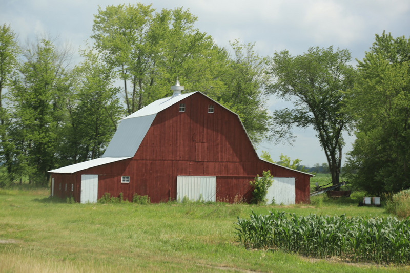 Typical farm barn, note the corn growing too!