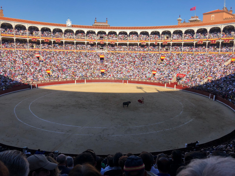 The Arena at the Bull Fight