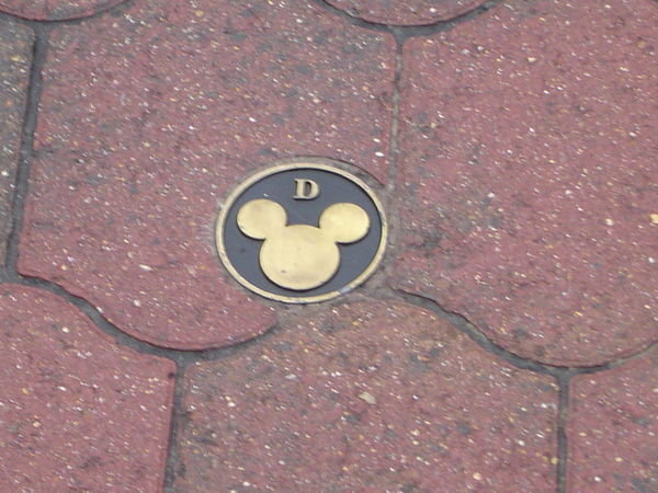Mickey Logo on the Ground