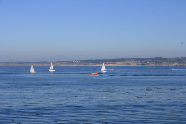 Yachts along Monterey Bay