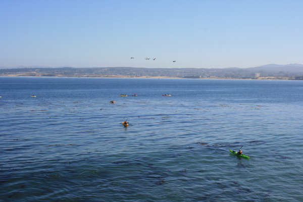 Kayakers along Monterey Bay