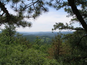 View from Black Mountain