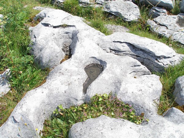 Shapes of the Burren