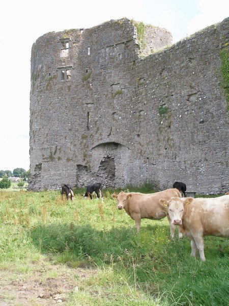Drum Tower at Roscommon