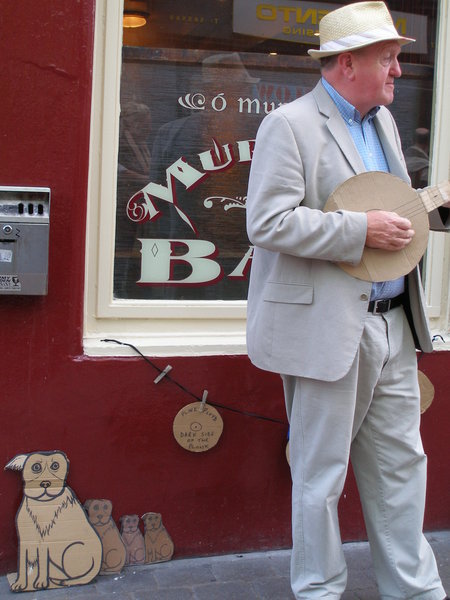 Galway Busker and his dog