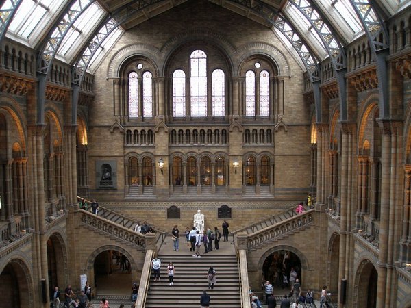 The Great Hall at the Museum of Natural History