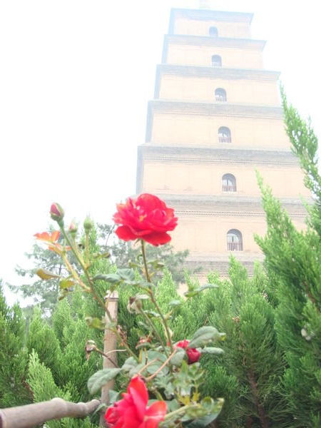 The Giant Pagoda in Xi'an