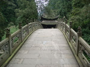 The bridge to the monkeys!