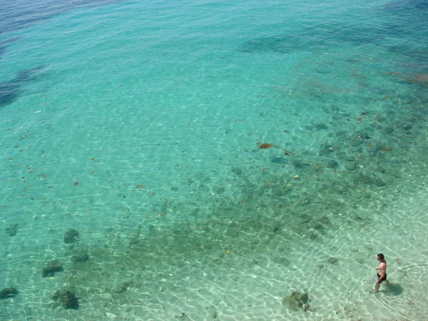 The clearest waters i've ever seen.