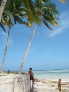 Palm tree fringed beaches.