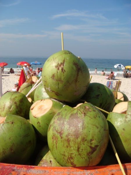 Coconuts in everything!