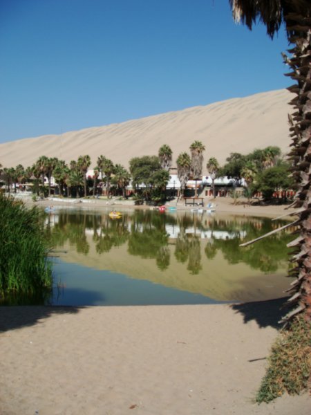 The Oasis.