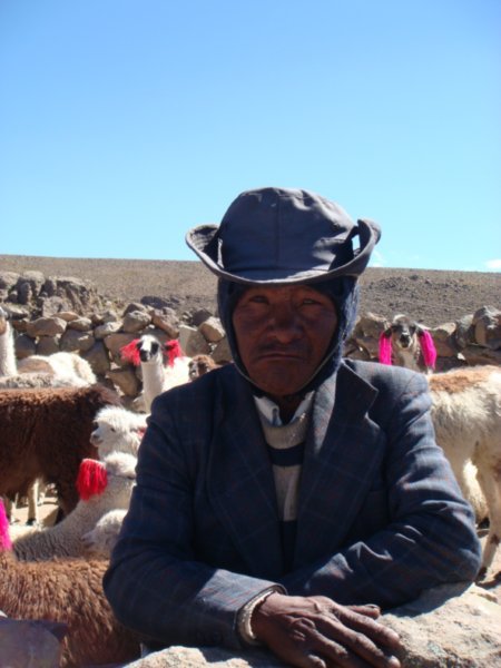 A local alpaca farmer