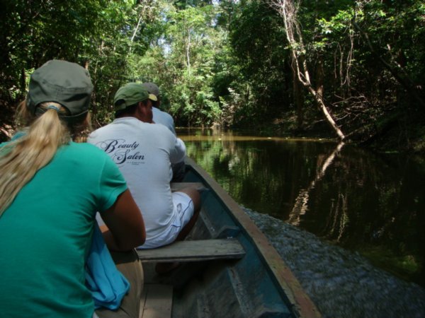 Through the jungle on a boat.