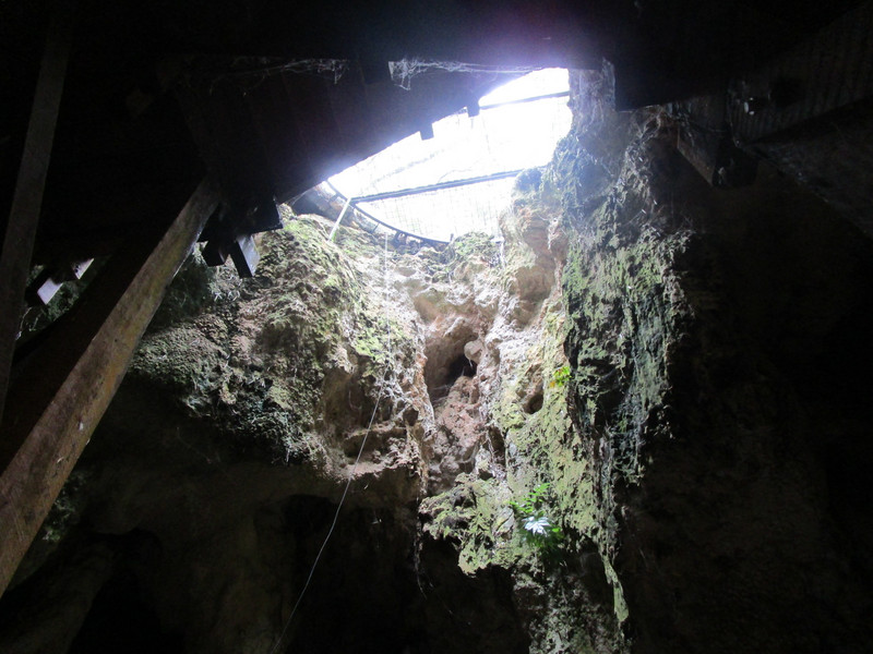 72107.4 the hole in the ground at Ngilgi Cave