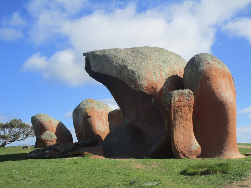 81008.5 Murphy's Haystacks