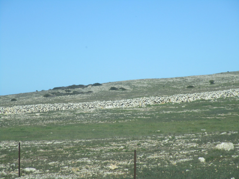81308.3 dry stone walling on way to Coffin Bay
