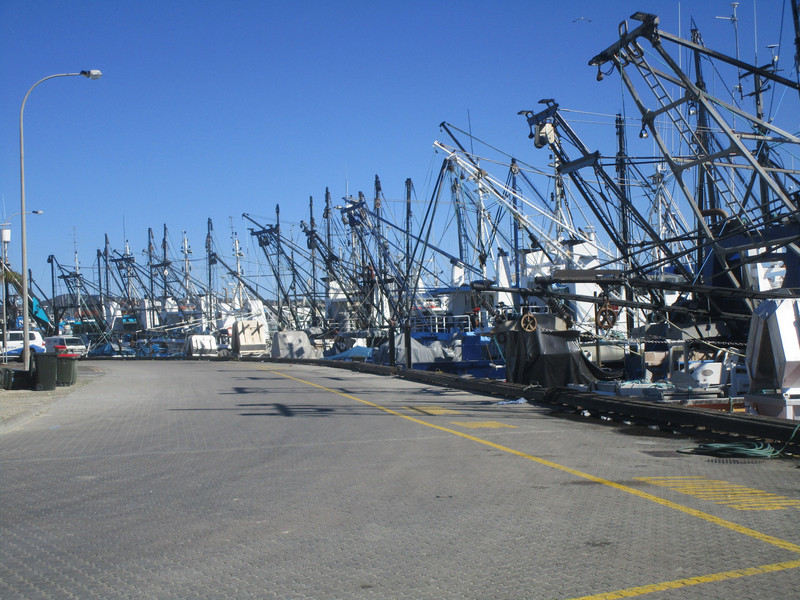 81408.2 Port Lincoln fishing fleet