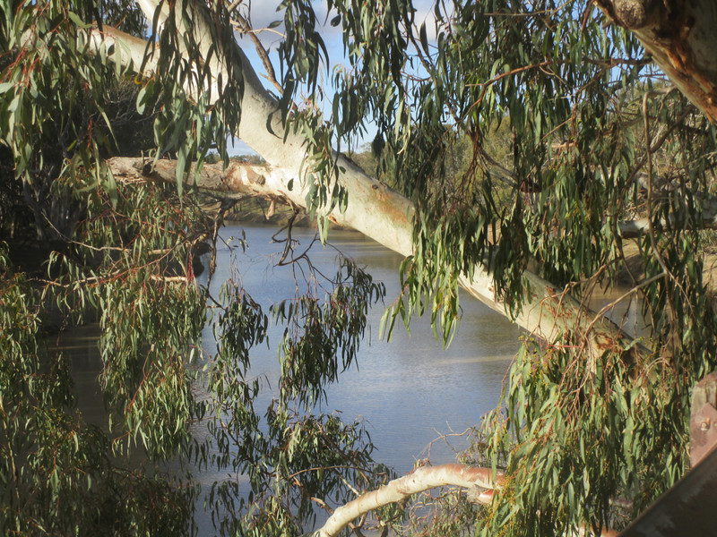 190621.2 view of the Darling River