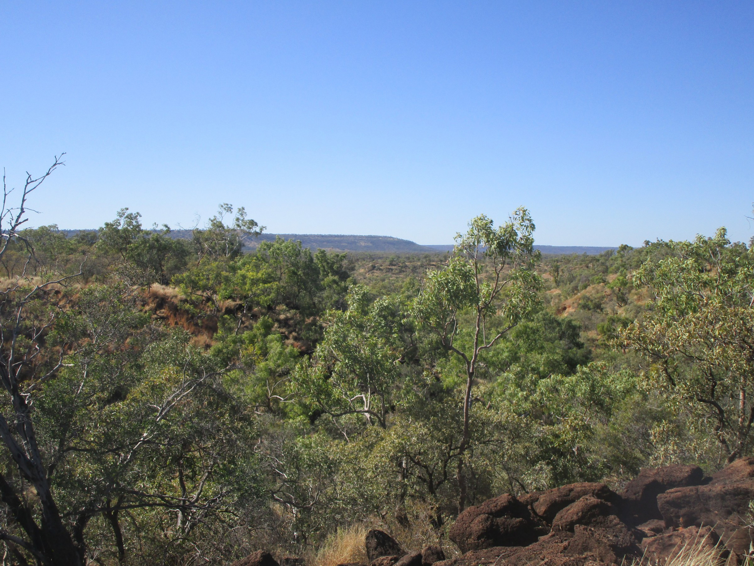 Hughenden 7270721.5 lookout at Eaglehawk Gorge | Photo