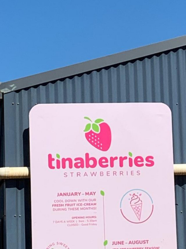 8170821.13 Tinaberries strawberry farm