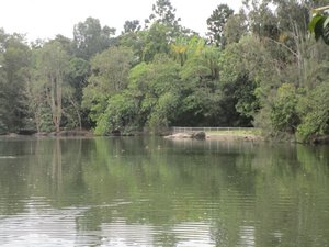 8190821.18 lake within Botanic Gardens