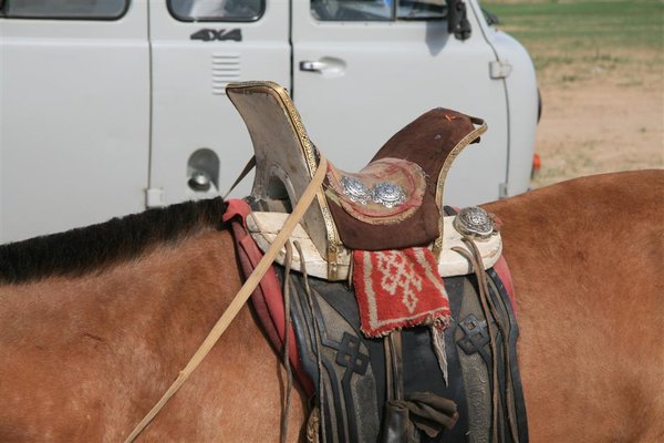 Traditionel og meget brugt hestesaddel