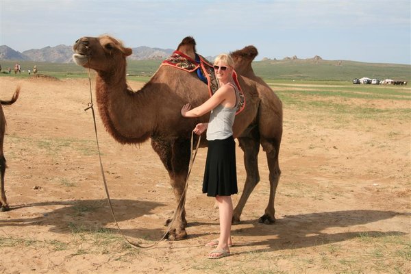 Leise forand en kamel