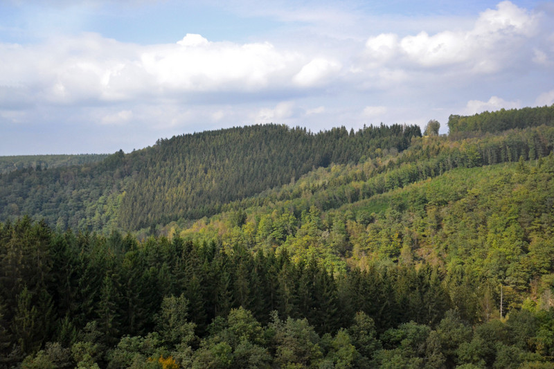 Forests of the Ardennes
