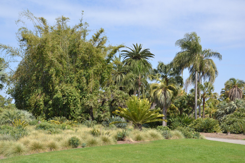 Palm Garden