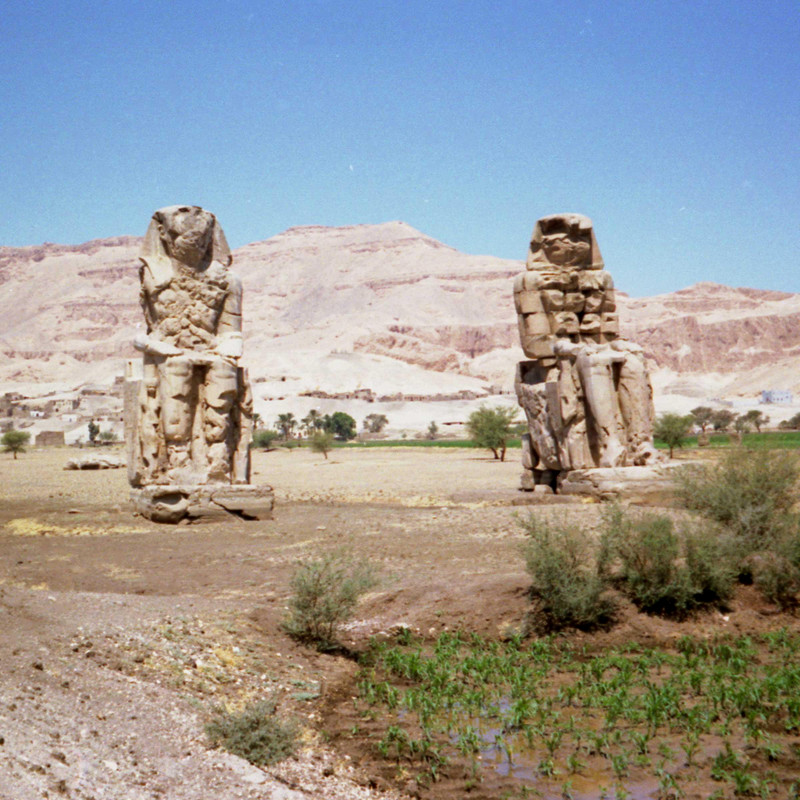 Colossi of Memnon 