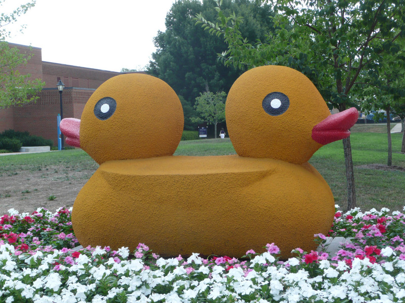 Two-Headed Trojan Ducky