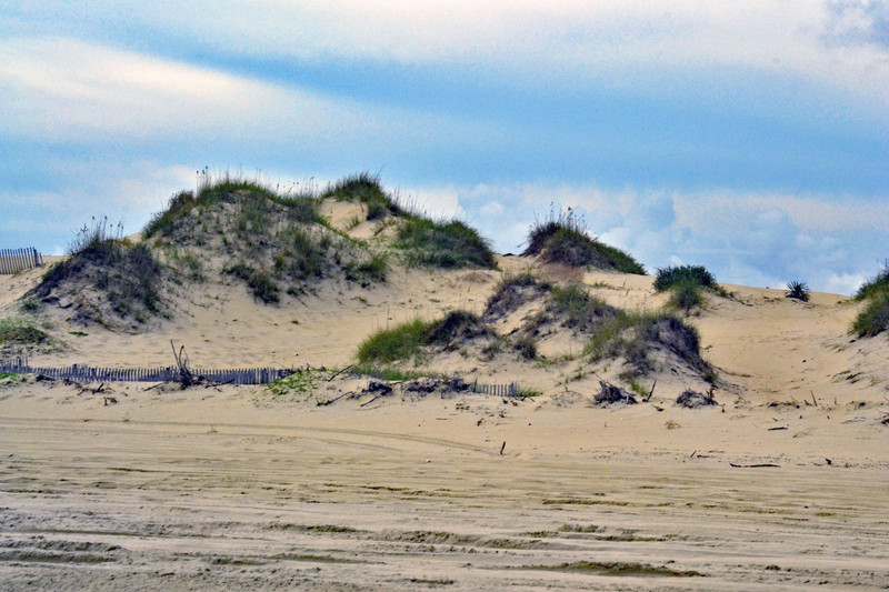Sand Dunes and Beach Grass at Carova Beach