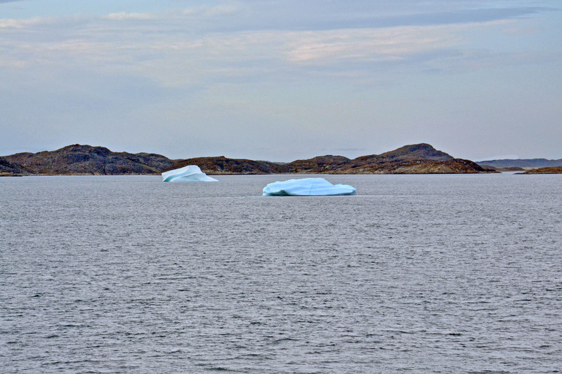 Icebergs in the Nuup Kangerlua Fjord
