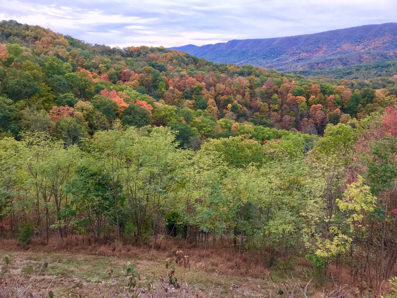 Fall Foliage from House Mountain Inn