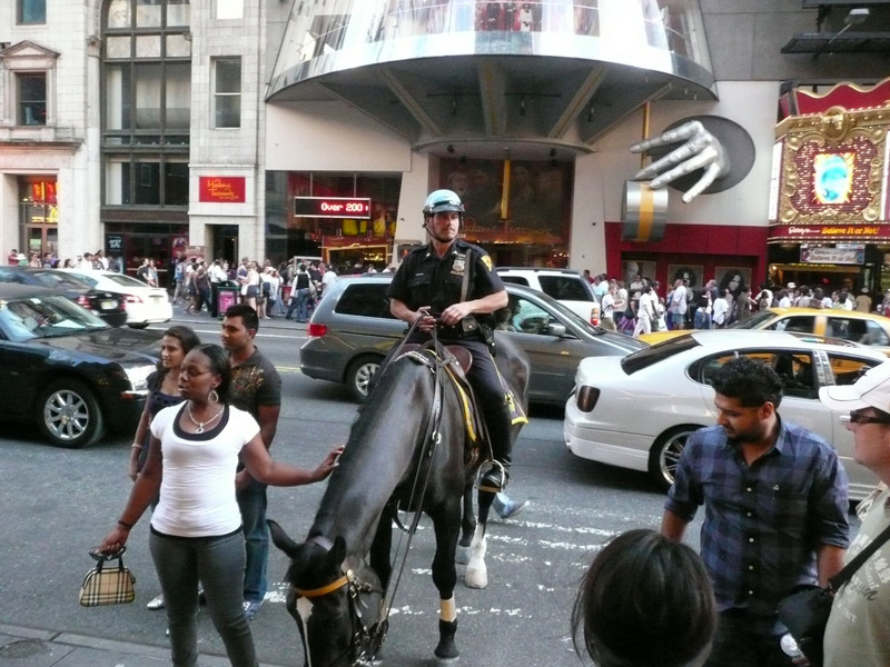 Mounted Policeman in Times Square