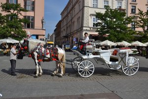 Horse-drawn Carriage 