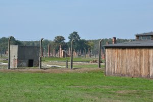 Auschwitz II-Birkenau Ruins