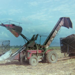 Sugar Cane Harvesting Apparatus