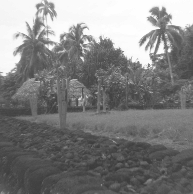 Tahitian Marare