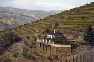 Douro Wine Region