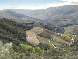 Douro Wine Region